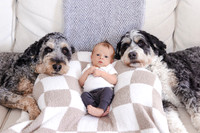 Boy & His Pups