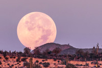 Morning Beaver Moon