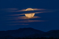 Cold Moon
