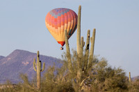 Desert Splendor