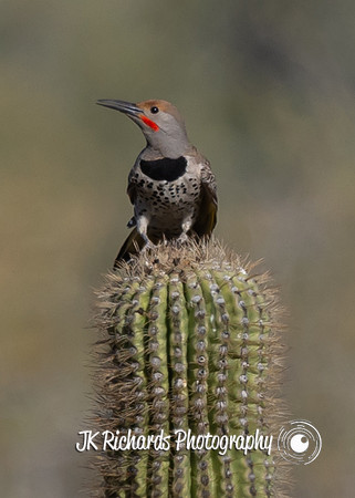 Flicker Topper