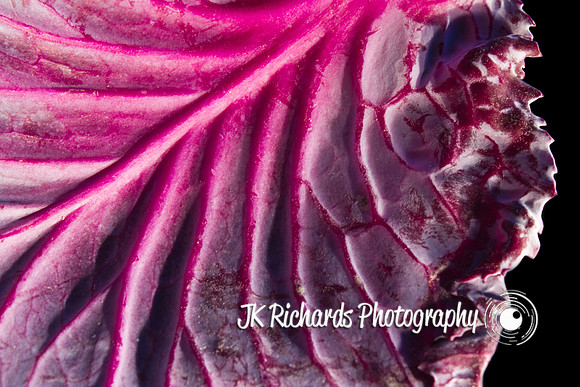 Ravage My Cabbage