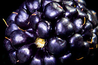 Berry Berry Beautiful