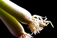 Italian Scallion