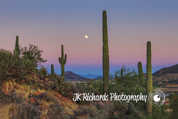 Moonrise