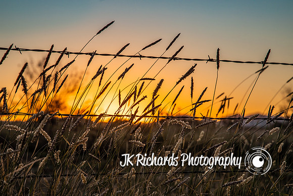 Country Sunrise