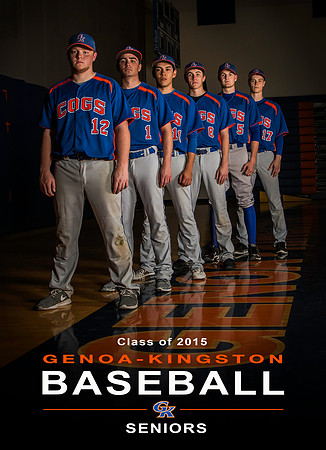 2015 Baseball Senior Poster copy